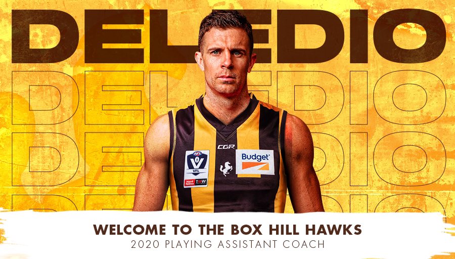 Box Hill Hawks tweet media