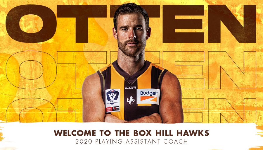 Box Hill Hawks tweet media