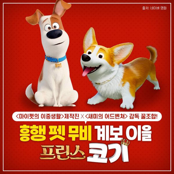 <마이펫의 이중생활> 제작진🐶 이번엔 <새미의 어드벤처> 감독과 함께 여왕님의 펫이다! <프린스 코기> ㅤ 집사도 모르는 펫들의 시크릿 라이프🐾...