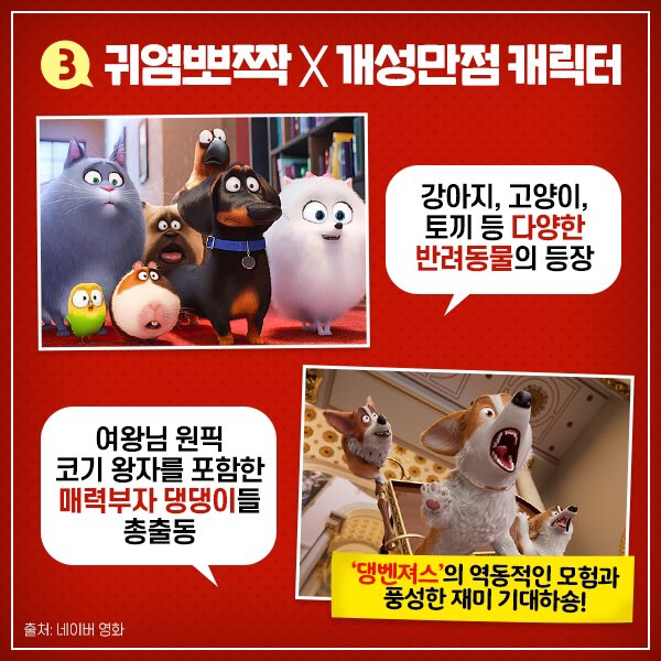 <마이펫의 이중생활> 제작진🐶 이번엔 <새미의 어드벤처> 감독과 함께 여왕님의 펫이다! <프린스 코기> ㅤ 집사도 모르는 펫들의 시크릿 라이프🐾...