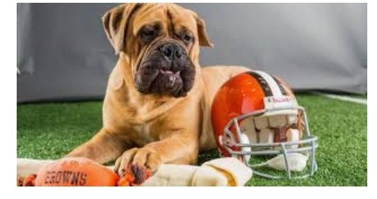 AverageSwingers's tweet photo. #ASBull live with @B_JFunCouple in just over 24 hours from now!
Join us. I'll be watching football so there might be screaming. https://t.co/Zzxza5KGvr