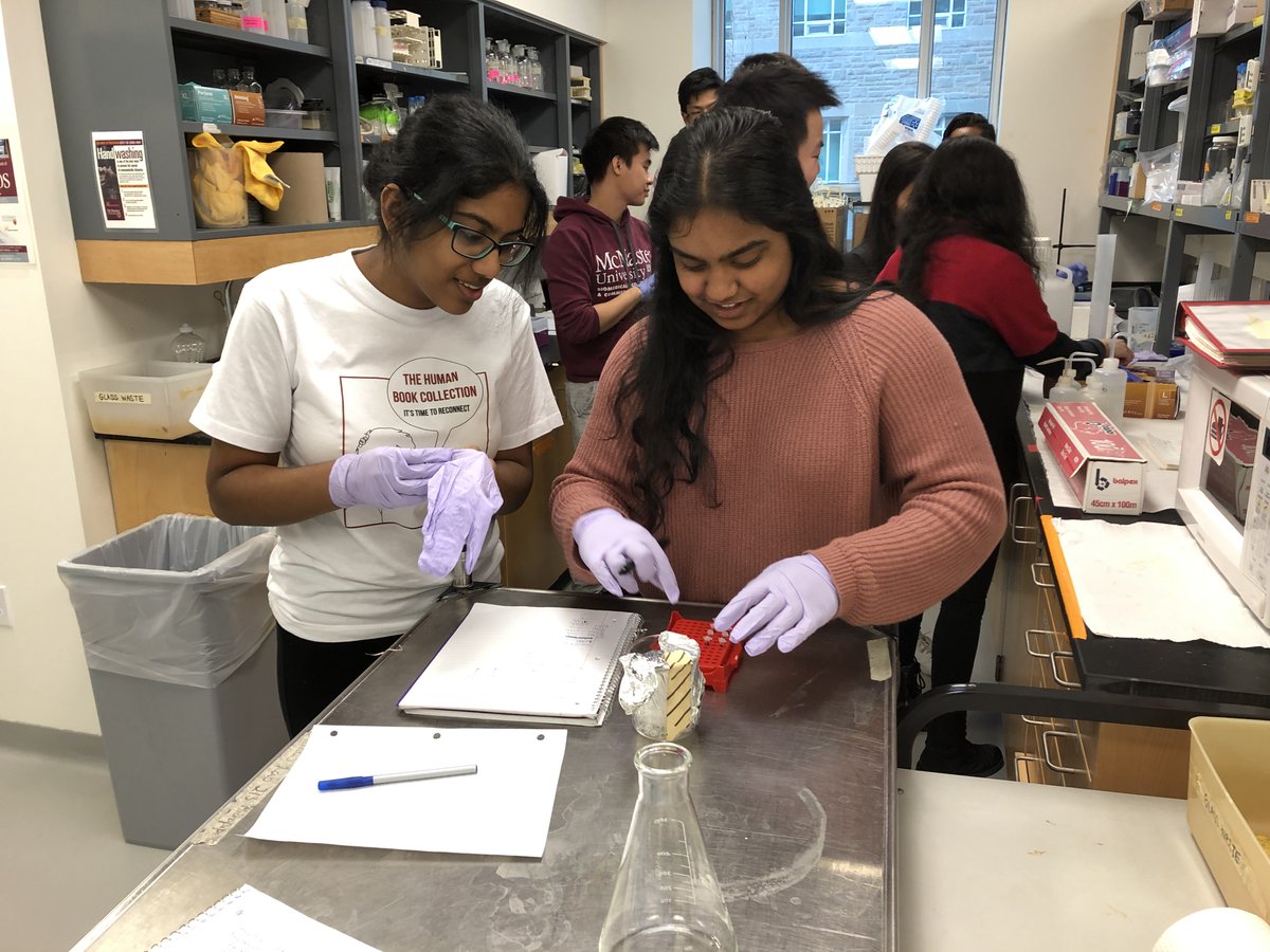 iGEM McMaster tweet media