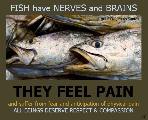 Not all screams are heard. Please leave fish off your plates. Fish are sentient beings too🐟💚🌱 #vegan #govegan #stopeatingfish #fishfeelpain #veganfortheanimals #antispeciesism #compassionovercruelty #fish #stopfishing #eatplants #realfoodisgrownnotborn