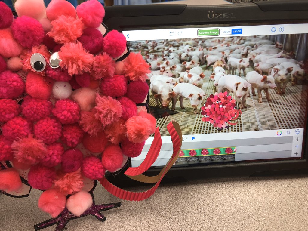 CindyGo75's tweet photo. Check out this turkey disguised as a pig! 2nd graders used art supplies to disguise their turkey, took a pic of their turkey then used @DoInkTweets to add the background. Next step- to write about the turkey disguise. Art+Tech+Writing #gslearning @ChristinaSmiEDU https://t.co/ApmiGMOSp4