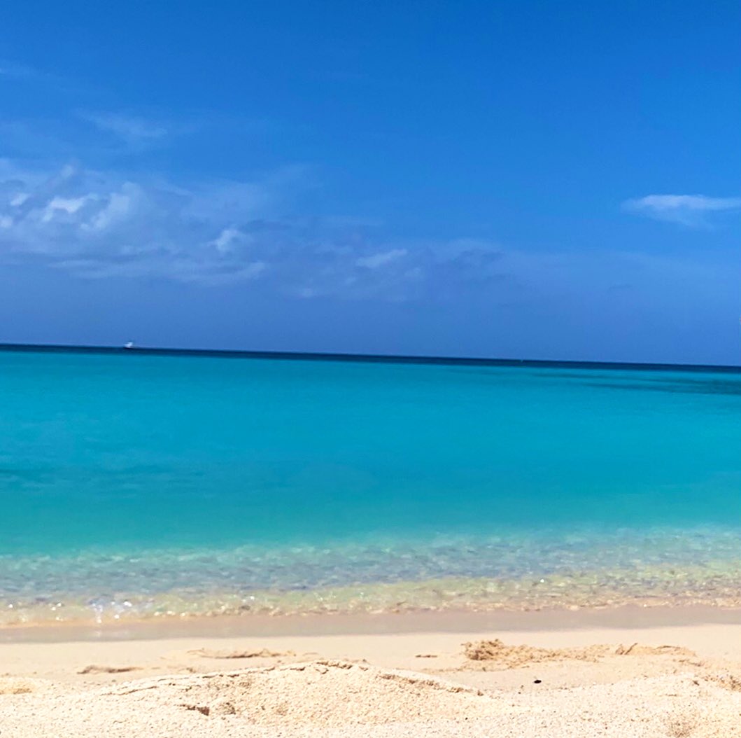 vixie_xo's tweet image. Seriously. The beach is my happy place. 🥰 Perfect with or without company.