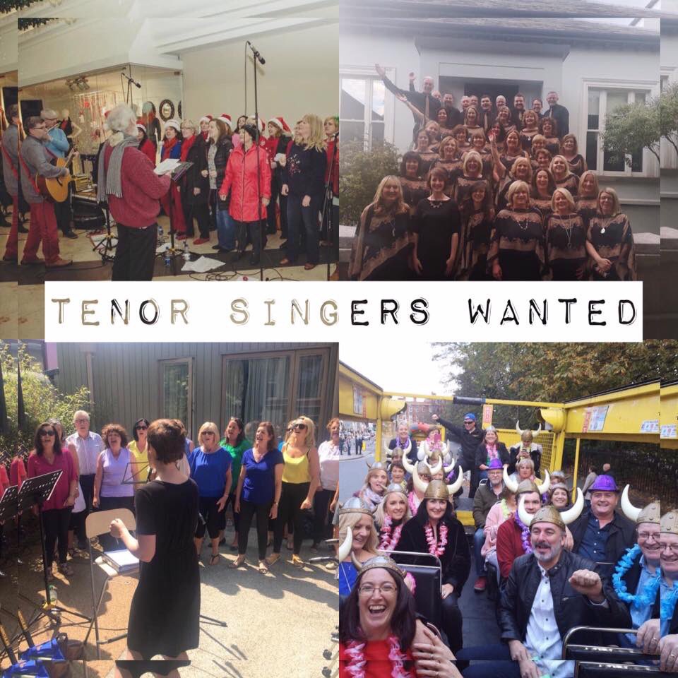 CabinteelyGosp's tweet photo. Are you looking to add some extra soul, happiness and fun to your life?🎤
Well then, look no further🎼
We are looking for SINGERS to join the Cabinteely Gospel Group.
Please DM or email us, if interested: cabinteelygospel@gmail.com 
Must be over 18*. 
 #cabinteelygospelgroup https://t.co/OVd8iIL98B