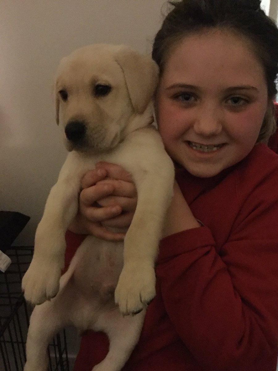 Latest addition to our family 💕