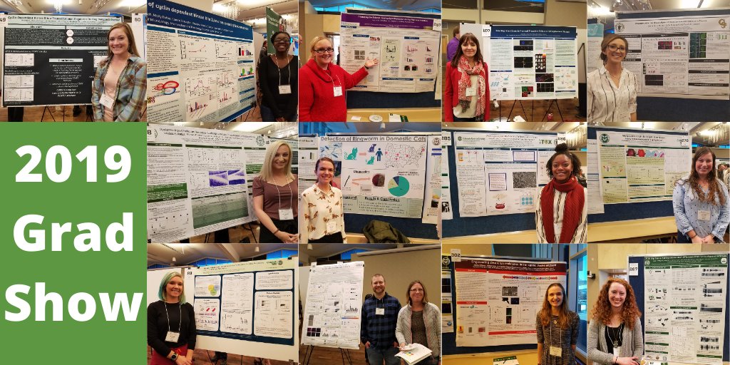 CSU_MIP's tweet photo. We saw so many amazing projects yesterday at the #CSUGradShow. 

Congratulations to the winners:
Arielle Hay: GSC New Grad Student Research Top Scholar award
Adam Heck: Undergraduate Choice Research Top Scholar award 
Savannah Rocha &amp; Ariel Timkovich: CVMBS - Top Scholar Awards https://t.co/kZgCqVEoye