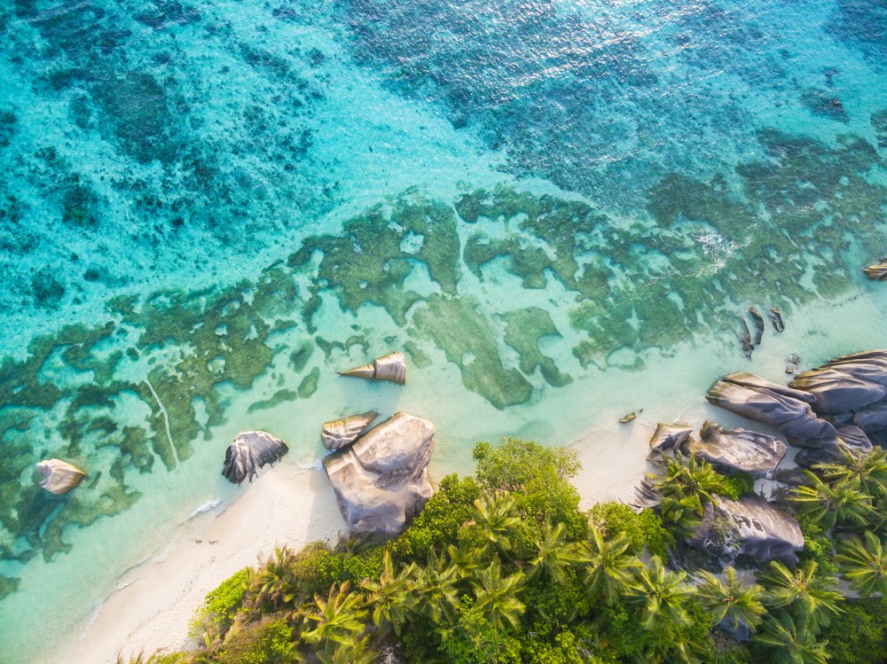 Tembeliaa's tweet photo. Which is your favorite picture of Seychelles? 📸- 1, 2, 3 or 4? 🤔 #travelphotography #adventure https://t.co/ysn688zTss