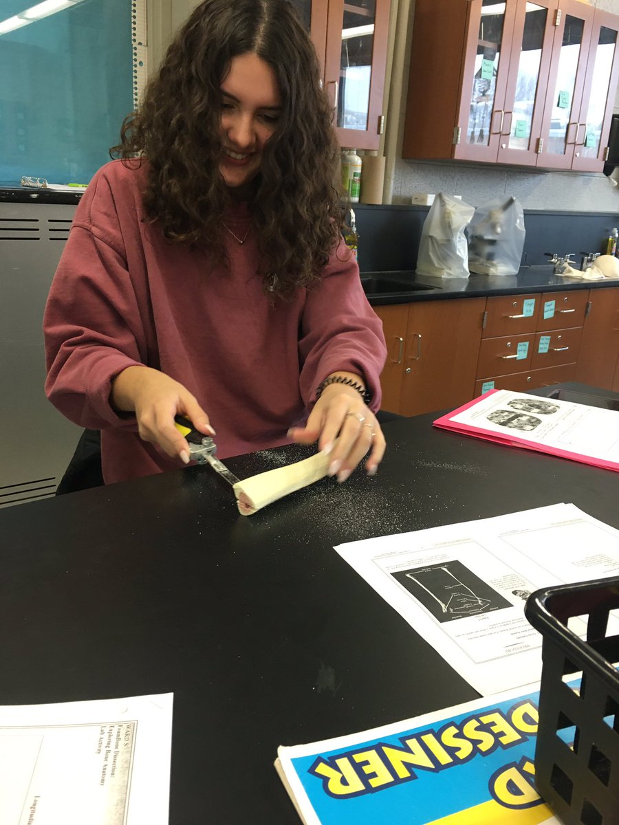 MrsRegovich's tweet photo. Love the smell of bone dust in the morning!! 🔪🦴 #bonedissection #tibia https://t.co/Q1Y1pUBvtY