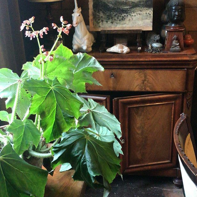 Huizen voor de Toekomst tweet media