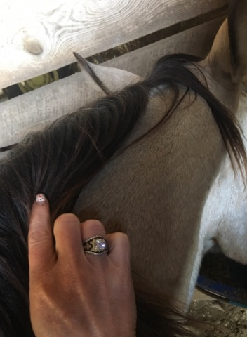 FanningJewelry's tweet photo. Thanks Jodi Ray for sending us these beautiful pictures of your FJ ring. Jodi is one of our ring giveaway winners. Congratulations from all of us here at https://t.co/SfwIlBpF3r
#cowgirlstyle #ringwinner https://t.co/SxP8XcoQSr