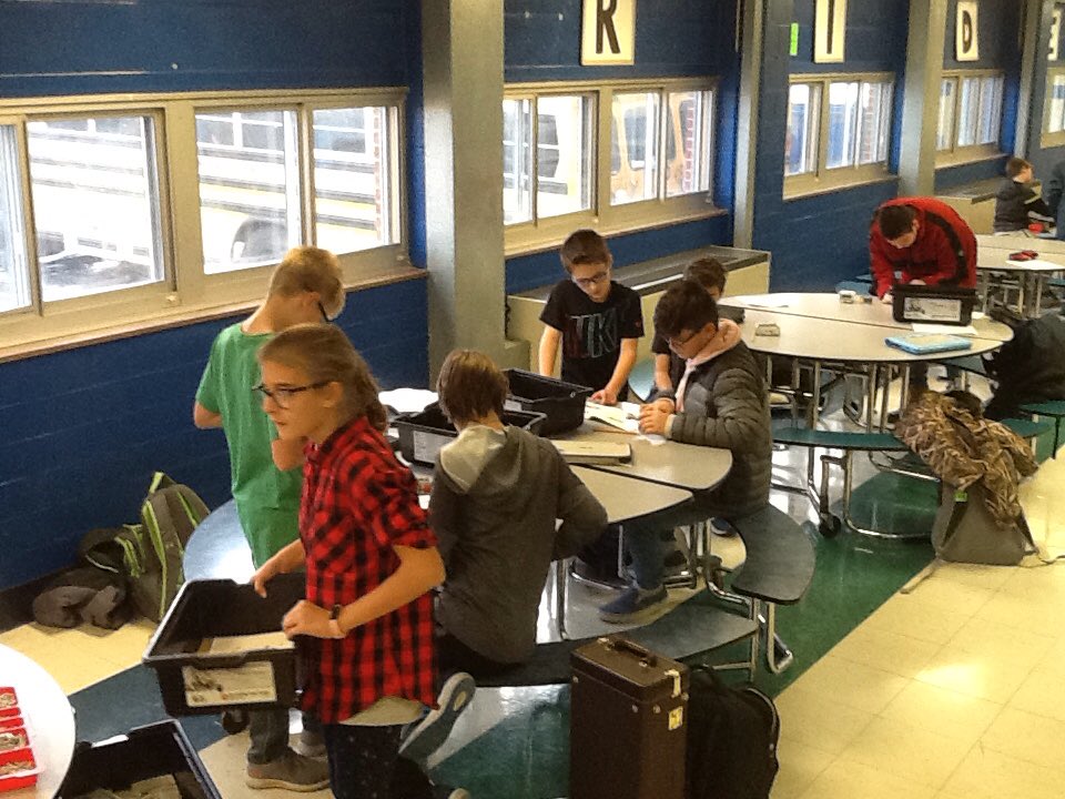 Buddy Wolf tweet media