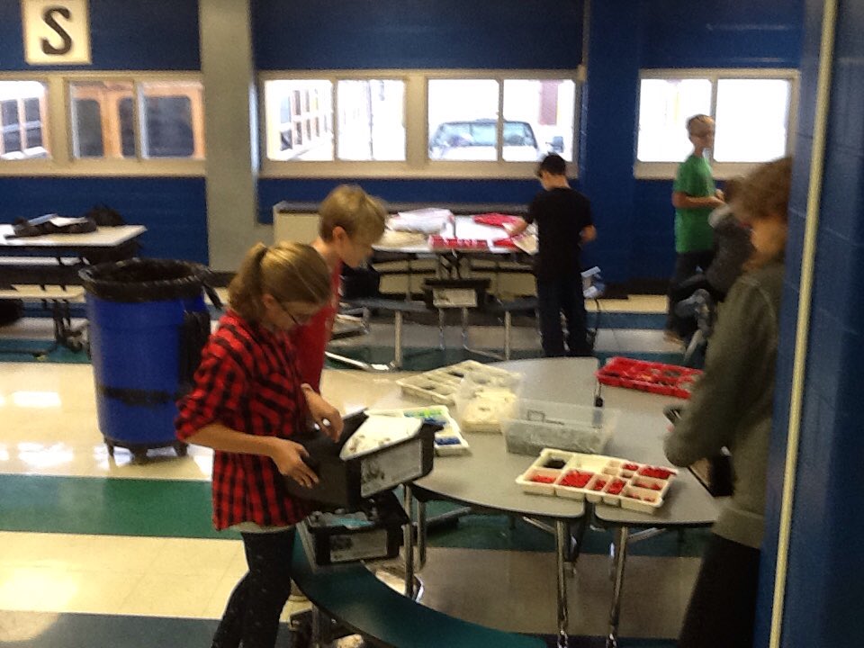 Buddy Wolf tweet media