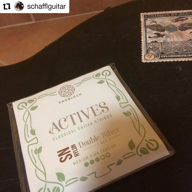 Strings_By_Mail's tweet photo. @schafflguitar posted this photo highlighting his @knoblochstrings he ordered from us. Thanks for posting and rocking the SBM decal! :) #stringsbymail #knoblochstrings #guitar #classicalguitarlife #classicalguitarist #classicalguitarstrings #classicalguitar #silverstrings https://t.co/J5pQmxkg1c
