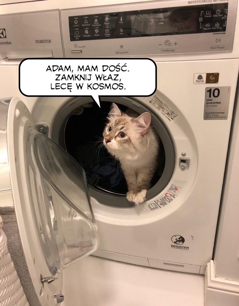 adam_abramczyk's tweet photo. @tommek70 jest autorem pierwszego mema z moim kotem w roli głównej #ChiefKen 😂✌️👍 https://t.co/QzuBavmmlq