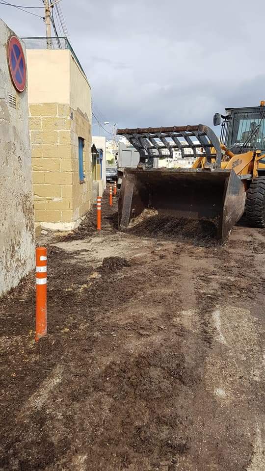 Marthese17's tweet photo. San Tumas - ftahna l-access tat-triq mill-alka. 🚜 #Cleansing and #maintenancedivision
Grazzi - #CleanMalta
👉 @deodebattista https://t.co/VlSjiTfohH