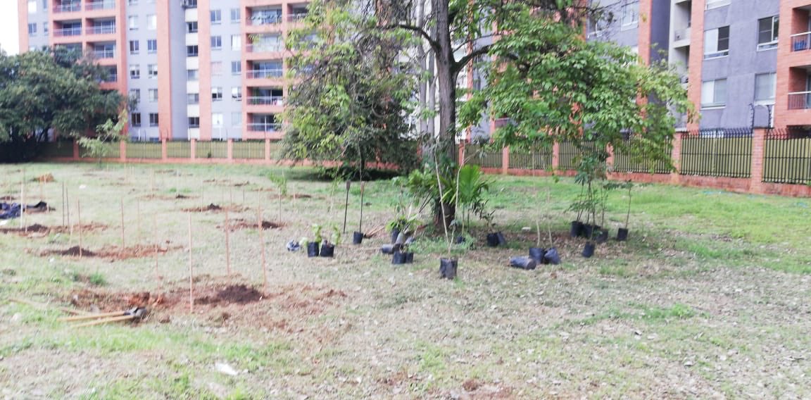 ferneycamacho's tweet photo. Infraestructura sostenible. Cumplimos compromisos ambientales del proyecto de la ‘intersección a desnivel de la cra 100 con cll 25’.
Sembramos con la comunidad aledaña al proyecto cerca de 30 árboles nativos.
#CaliNoPara #ObrasDelProgreso https://t.co/v7fr0eDKPS