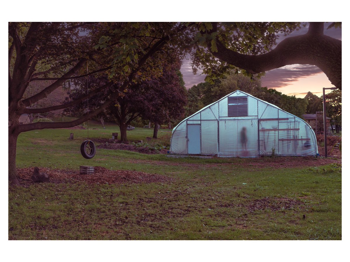 Cowboy the Terrible tweet media