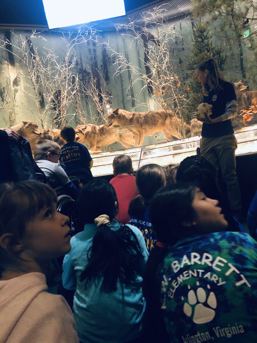 Jessica Idol tweet media