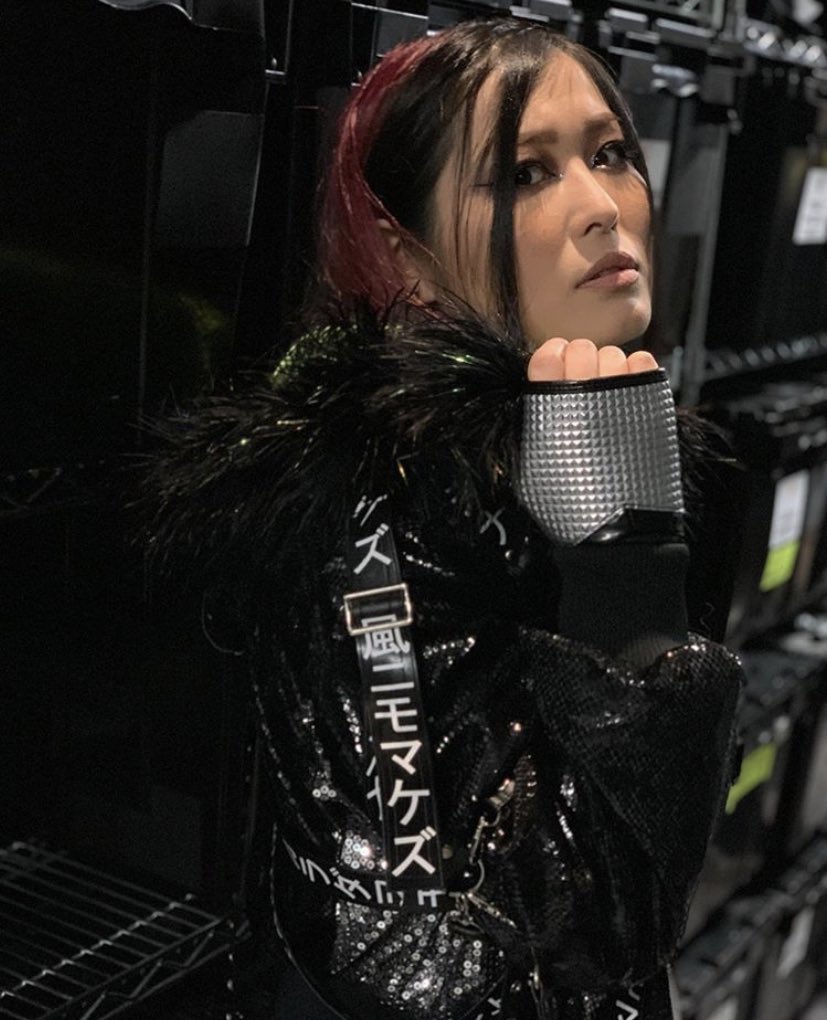 SkYIYO0307's tweet photo. #WednesdayThoughts 

Queen of the Sky

Io Shirai @shirai_io 

This woman should be NXT Women's Champion 

#UNDFEATED 
#IoShirai 
#WeAreNXT https://t.co/HdLePh5Vkl
