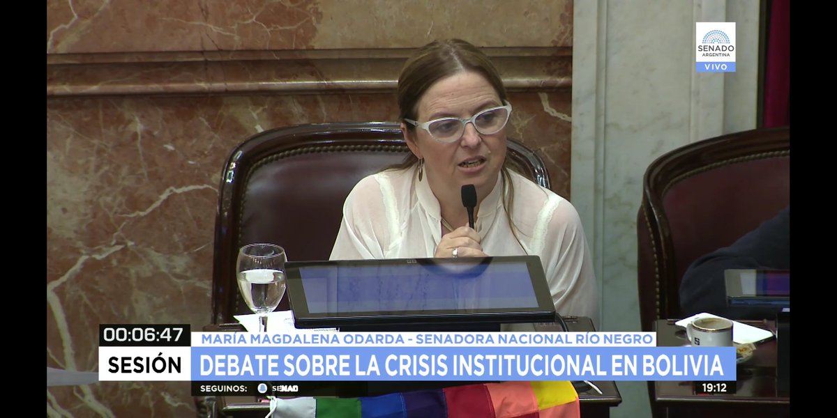 MagdalenaOdarda's tweet photo. En la sesión especial del @SenadoArgentina repudiamos el golpe de Estado que sufrió nuestra hermana Bolivia y destacamos los logros sociales de @evoespueblo ! 🇧🇴🇦🇷 https://t.co/H03Fwogiu7