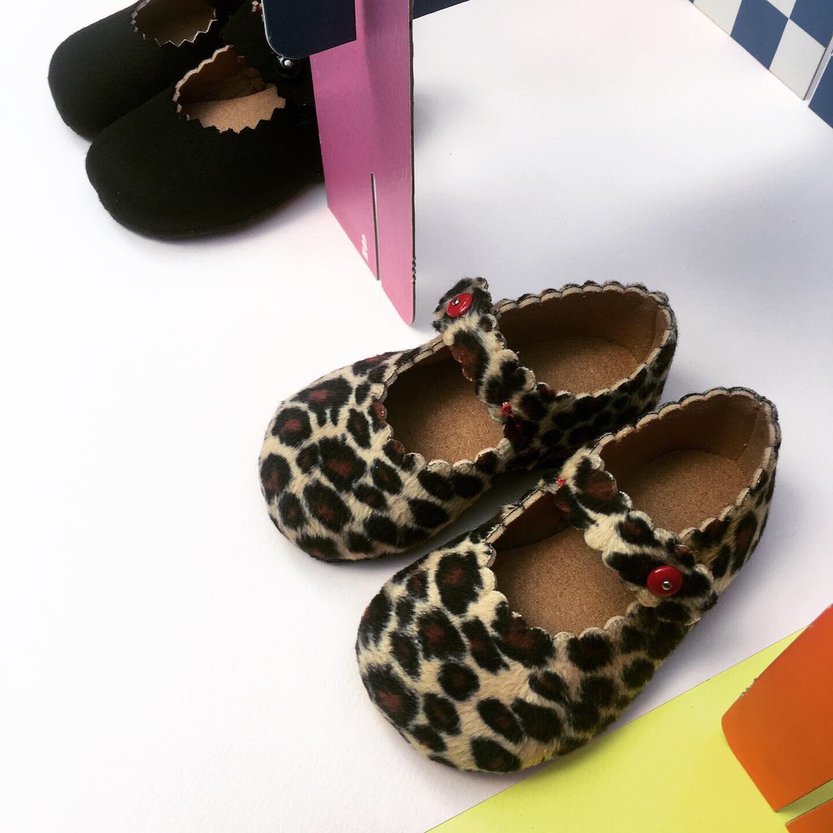 shoeniversity tweet media