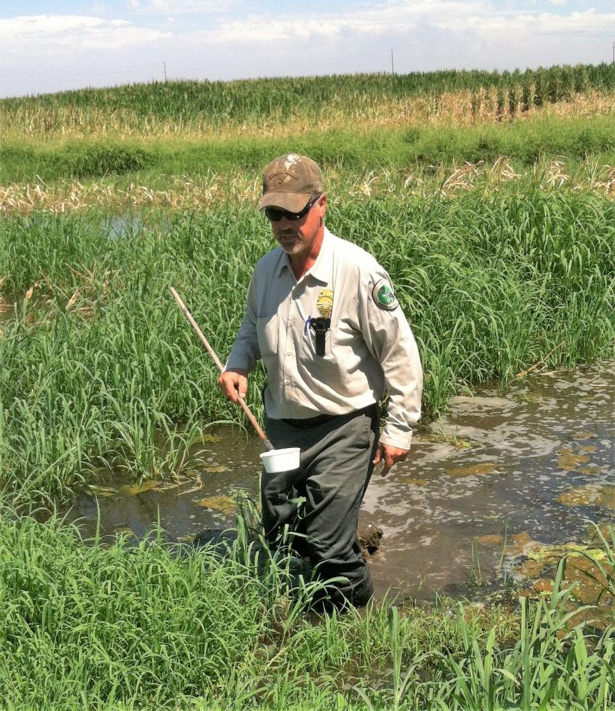 In California, Utah & New Jersey, mosquito control agencies use @NASAEarth data to keep new infestations at bay. It's used in a website that helps public health officials monitor and respond to potential outbreaks of mosquito-borne diseases. Details: https://go.nasa.gov/2QhGD7A