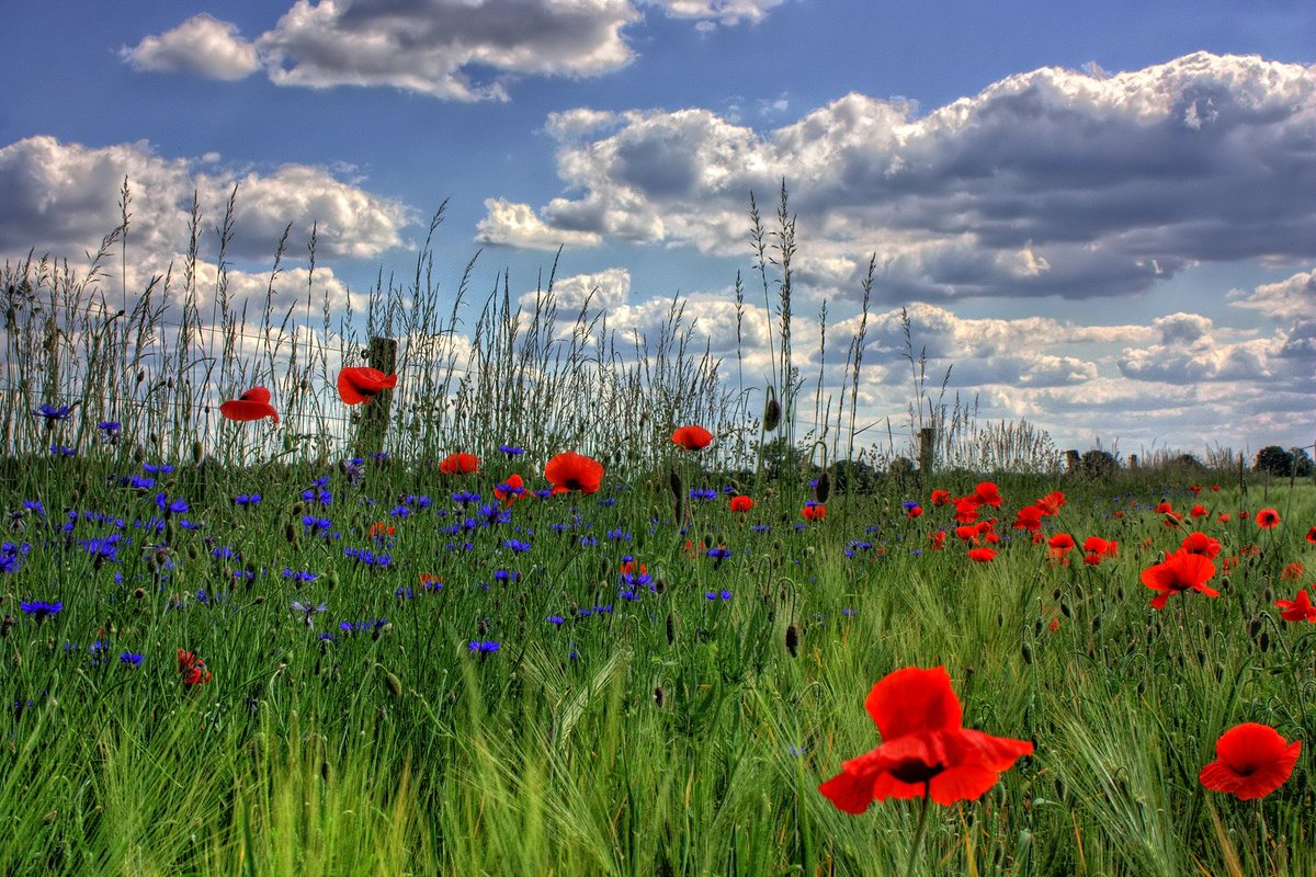 AndyCampInc's tweet photo. AndrewINK Photography
https://t.co/9wBfKIzMw4 https://t.co/fKVuLu915u