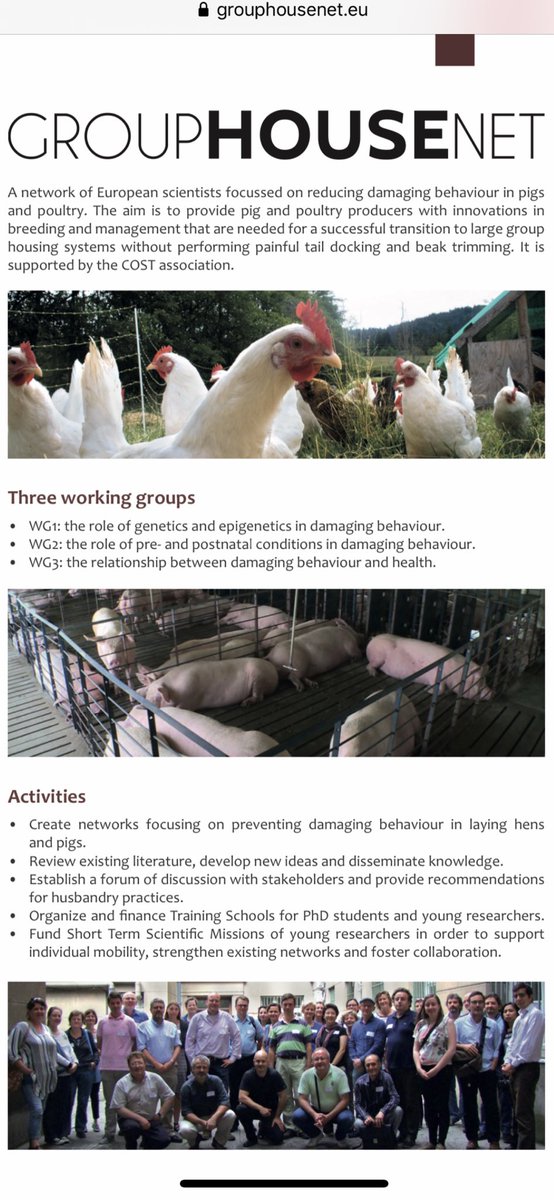 ShaneMcAuliffe1's tweet photo. The link between pig health and behaviour, Rebeca García Pinillos tells delegates to take a look at the work of @GroupHouseNet1 @OneWelfare @OneWelfareWorld #PWS2019 #PigWelfareSymposium https://t.co/Gbec8e5tBa