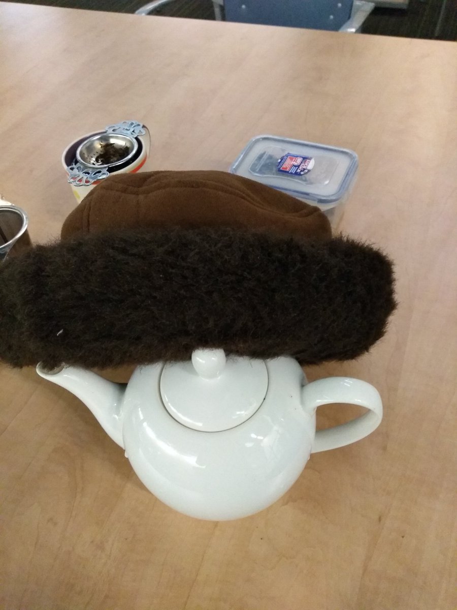 Naomi4EarthSci's tweet photo. When it's negative Celsius and you bring your big hat to work, it makes an excellent tea cosy!
#BonusOfTheDay https://t.co/9YU7IwqHsn