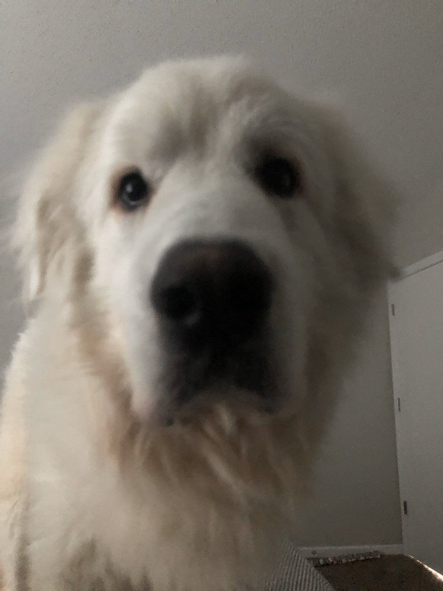 zatchgordon's tweet photo. Disappoint https://t.co/LsN2jq0oVW