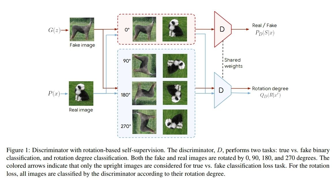 xsteenbrugge's tweet photo. "Self-Supervised GANs via Auxiliary Rotation Loss"

A simple trick that yields better image representations and impressive improvements for training unsupervised GANs on class conditional data!

Arxiv: https://t.co/42Oq6e13Yz
GitHub: https://t.co/t5jRKenV4a https://t.co/Pvs9YmySZC