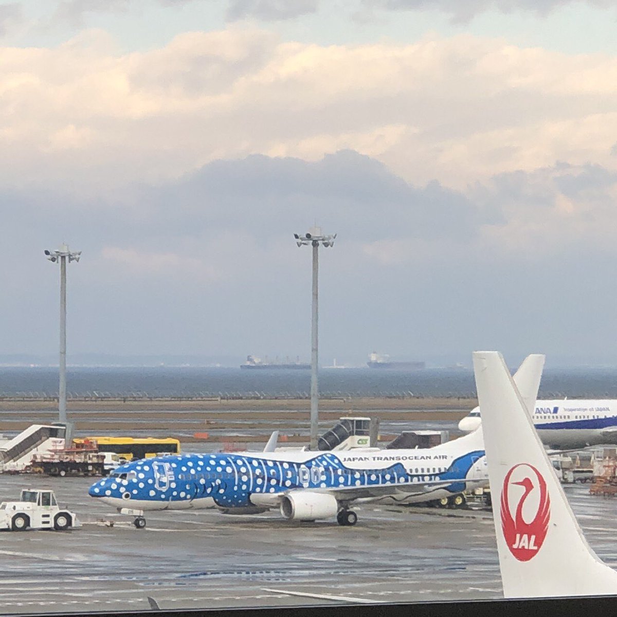 imanam0825's tweet photo. おはようございます😃

今から嵐さんにあいに北の大地に飛び立ちます。

行ってきます！ https://t.co/s7oq16XCBJ
