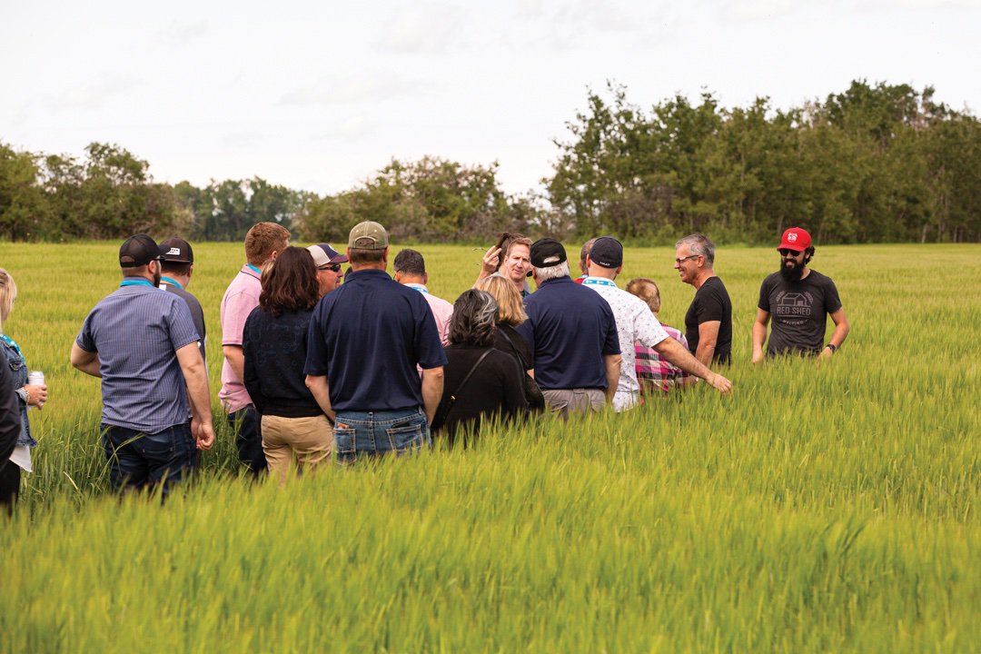 GrainsWest's tweet photo. Barley buy-in: creating new malting barley variety acceptance on the Made in Canada Crop Tour. https://t.co/QOWv2gVbv7 @AlbertaBarley @redshedmalting @5thGenFarming @LenzyJ @peterhughwatts #BMBRI #CMBTC https://t.co/7hNTnQCzwJ