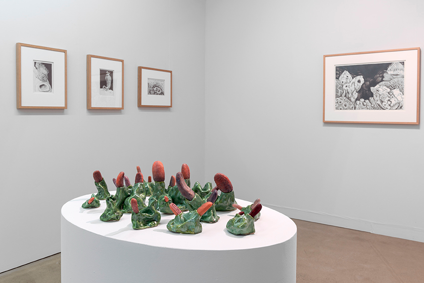 turnergalleries's tweet photo. Exhibition install shot of Erin Coates' side of the room in Fauna Flesh Flora, her two person exhibition with Anna Nazzari. Photo Eva Fernandez.
*
Exhibition continues to 23 November, &amp; can be viewed on our website: https://t.co/W7ePPSOvj8  https://t.co/UxLo1pE8Em