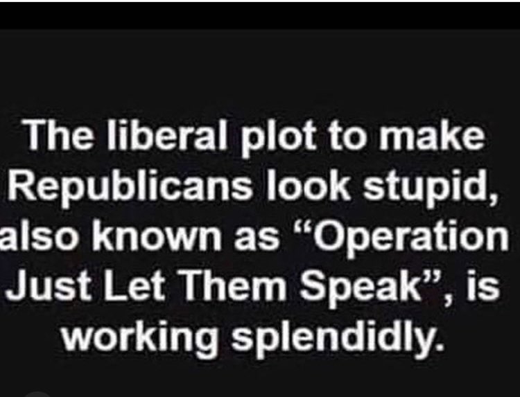 Jorge49022's tweet image. #ItsATrap #LiberalPlot #ImpeachmentHearings