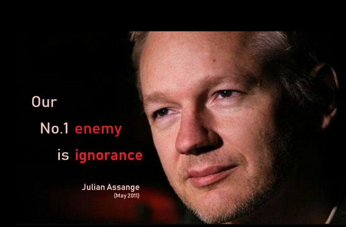 7/8 as opposed to the expected left / right. Julian, during the interview, also rejects the idea of ​​having a political position, redirecting her to talk about political temperament which in her case says oscillates between libertarianism and understanding.