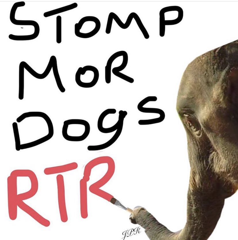 jkittkat's tweet photo. It’s all about Bulldogs🐶
 this weekend.🤦🏼‍♀️
@RyanCFowler @JJacobHarrisonn @TheGAMEon1009 @TidalTowel @DrewD977ESPN @brettbeaird #BamaTwitterArmy 
#HateStateWeek 
#KickMutt
#StompTheBulldogs🐘
#SilenceTheCowbells
#RollTide🅰️🐘🌊🏈 https://t.co/nAVpAYbb1t