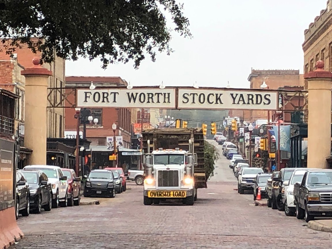Treemover's tweet photo. A beautiful day to plant some Quercus virginiana & rubra at Ft Worth Stockyards. We are supplying about 50 trees, 8-14" in 84-144" boxes. https://t.co/W8NrzRHqHb #treetransplanting #wemovebigtrees #specimentrees #fortworthstockyards #cattledrive #visitfortworth #teamtrees https://t.co/8sCTTQQ2o8
