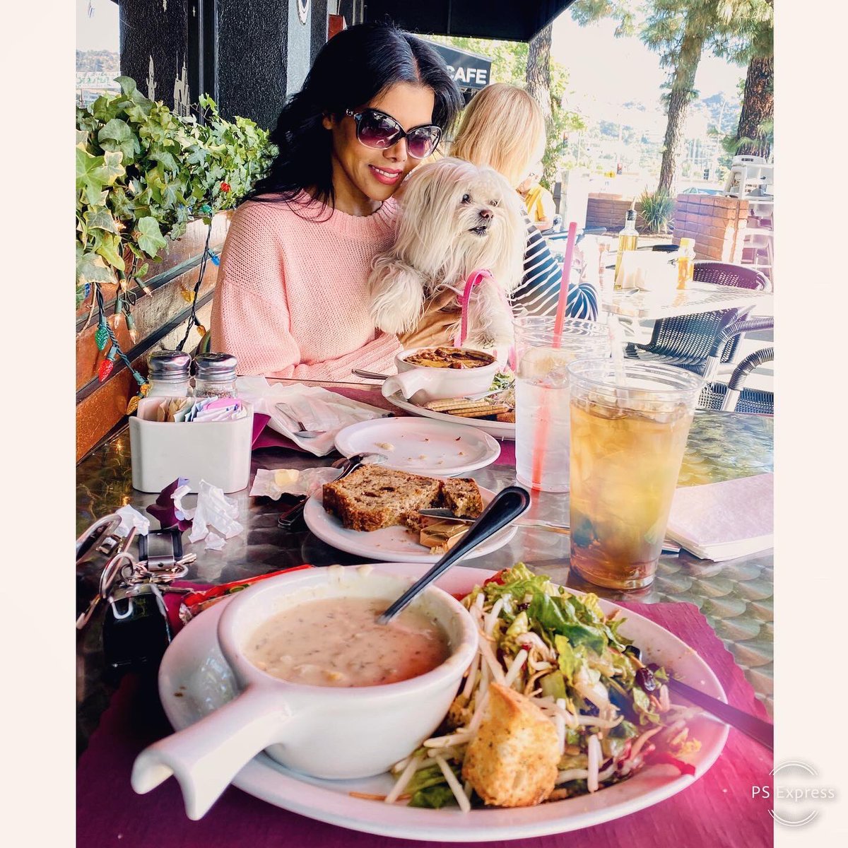 ItsJanShiva's tweet photo. Yesterday, Mina &amp; I took our “Employees of the Month” out for lunch! #NORI and #Fredo were top producers in 2019. Thank you @BlackCowCafe for accommodating us! 
#puppylove #adoptdontshop #rescue https://t.co/vF6A6b6VUT