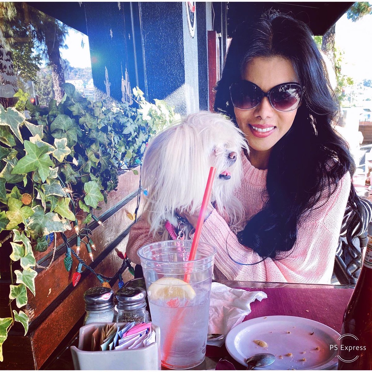 ItsJanShiva's tweet photo. Yesterday, Mina &amp; I took our “Employees of the Month” out for lunch! #NORI and #Fredo were top producers in 2019. Thank you @BlackCowCafe for accommodating us! 
#puppylove #adoptdontshop #rescue https://t.co/vF6A6b6VUT