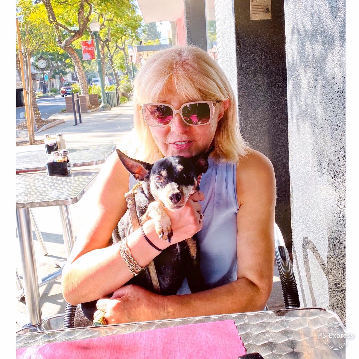 ItsJanShiva's tweet photo. Yesterday, Mina &amp; I took our “Employees of the Month” out for lunch! #NORI and #Fredo were top producers in 2019. Thank you @BlackCowCafe for accommodating us! 
#puppylove #adoptdontshop #rescue https://t.co/vF6A6b6VUT