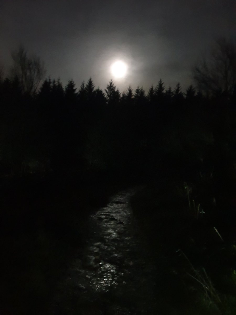 AndrewJames18's tweet photo. An excellent evening @OPALlandegla , 16 miles on a cold winters night followed by top food with Bert and @JennyTinmouth #opallandegla #bertsribs #weakness #jellybabiessavedtheday   #alightfromthegods #notmymoon #2moon https://t.co/LUCEIx4Ufh