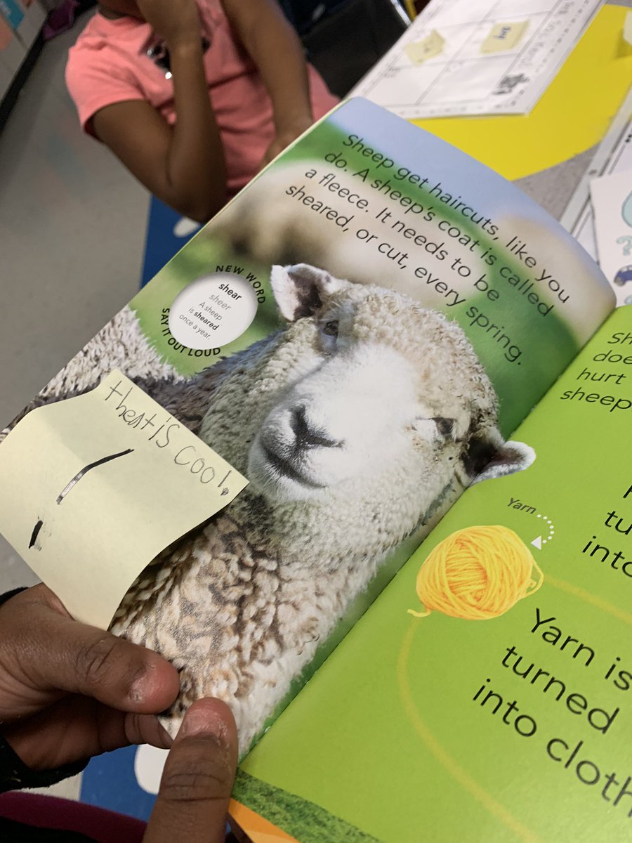 lizbooks99's tweet photo. Coding in reading. Following the engineering design process in readers. #mccallstem #happiestschoolincobb @mccallprimary1 https://t.co/QWGM3RhV7A
