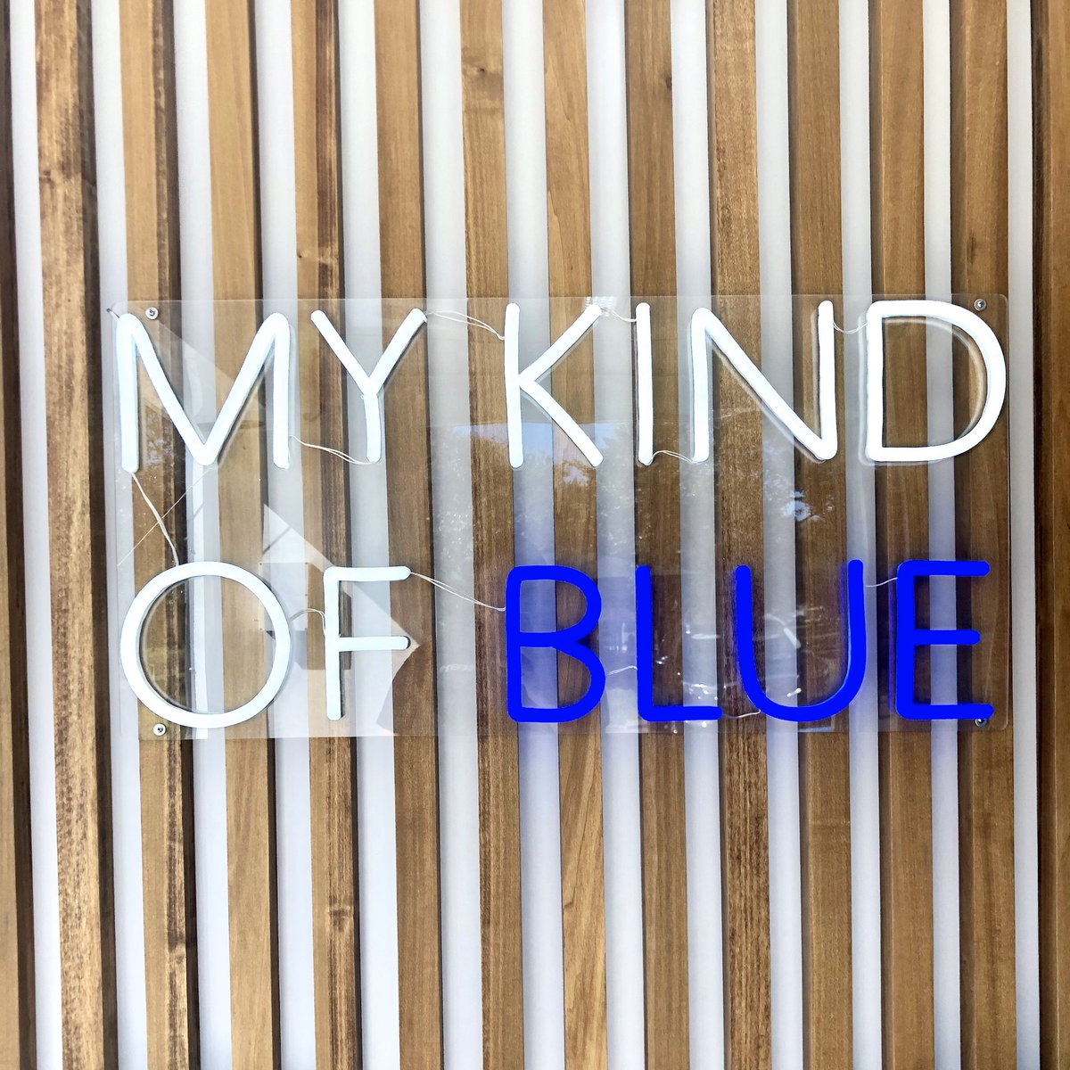 weareteamagency's tweet photo. This is our kind of blue 💙 getting ready for the nation’s biggest HBCU showdown with the whole TEAM. See you in 10 days, along with @FLBlue! #thatteamlife #floridaclassic https://t.co/DDGsaglbCr
