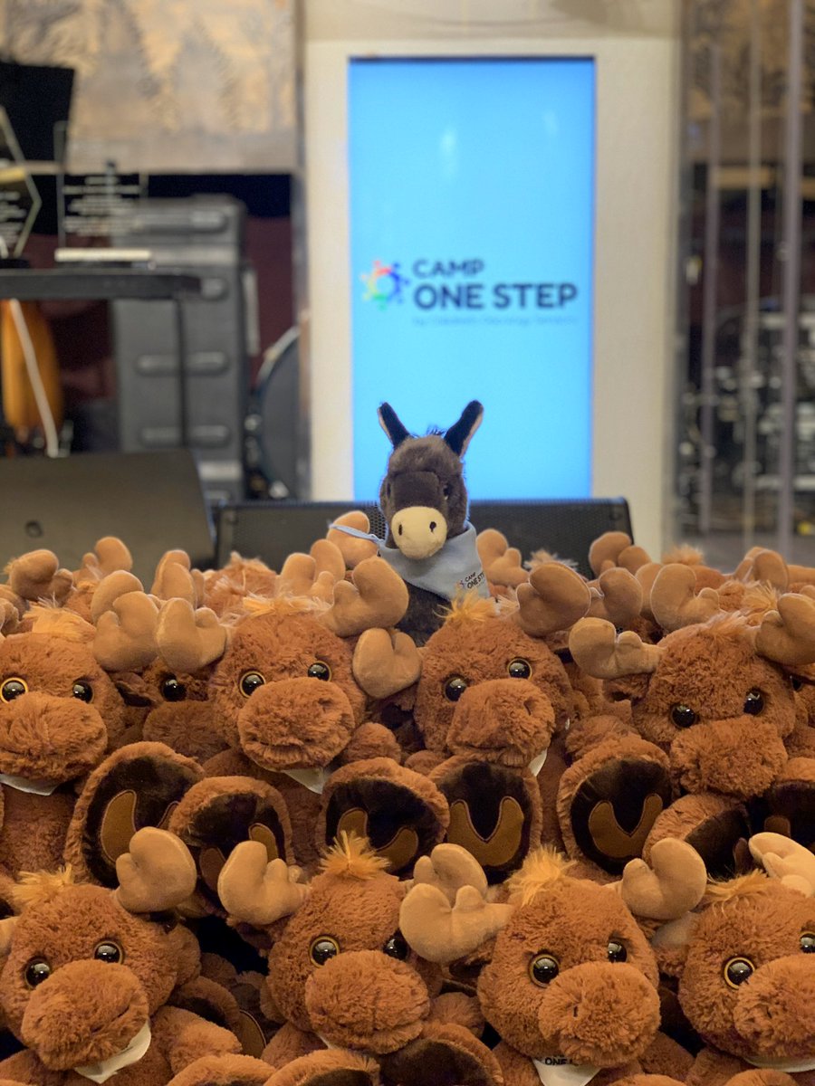 Camp One Step tweet media