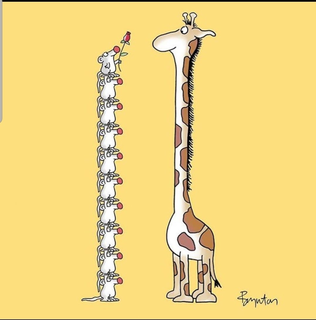 Mr.P's Mental Health Corner tweet media