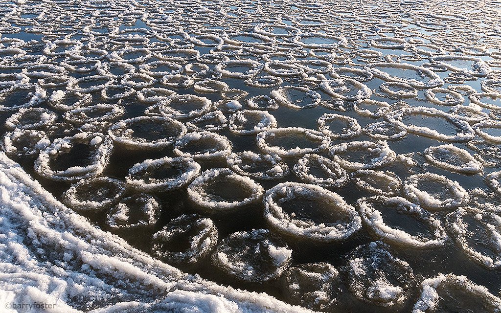 What a difference a day makes. Ice circles or Ice pans formed overnight out front on the Ottawa River with the very cold temps and strong winds overnight. Winter is here like it or not.🙂#icepans #icecircles #coldweather #OttawaRiver