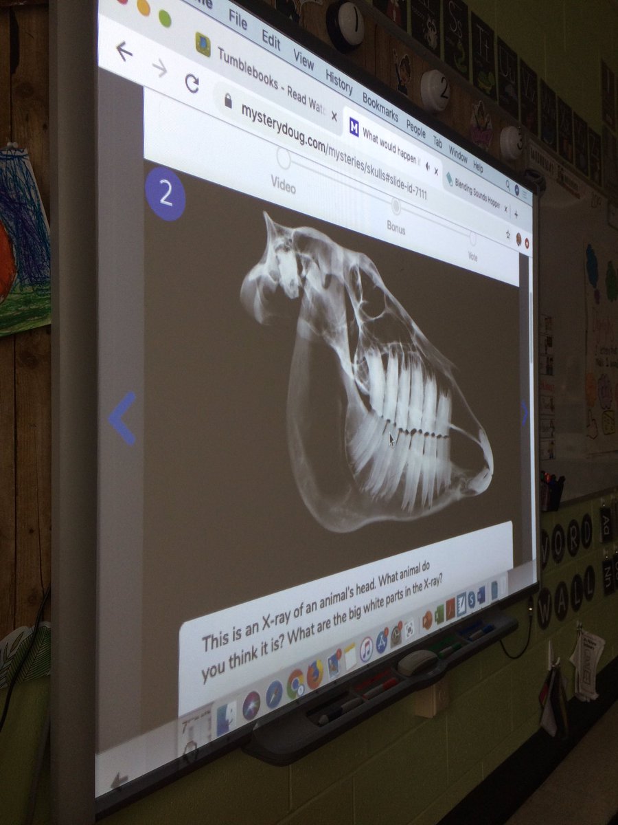 mrsbowesteaches's tweet photo. We love watching @mysterydoug at morning snack. What a great way to practice our predicting skills. Today we learned about x-rays! #prediciting #science #facts https://t.co/5DIozfwUri